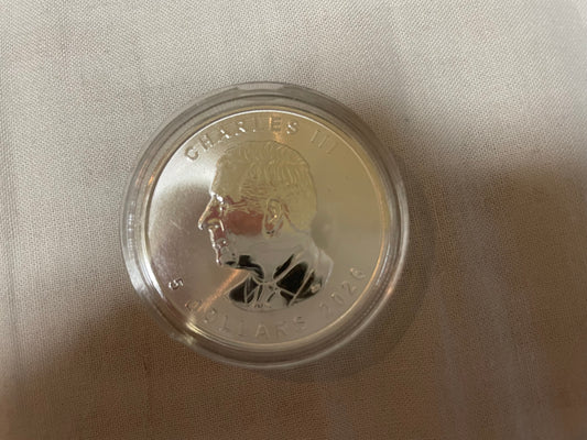 2026 カナダ メイプルリーフ銀貨 1オンス（純銀9999）